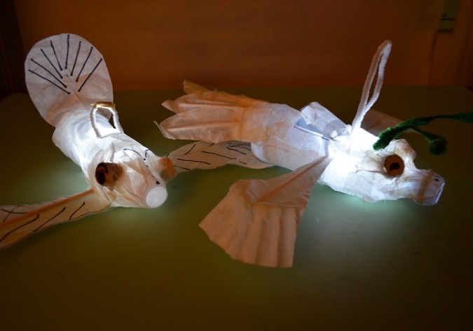 Make a bug lantern at home from recycled materials....